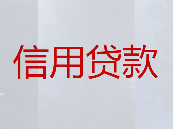 宜城市贷款公司-抵押担保贷款